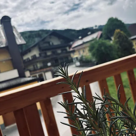 Sunny Alpine - Balcony & Mountain View